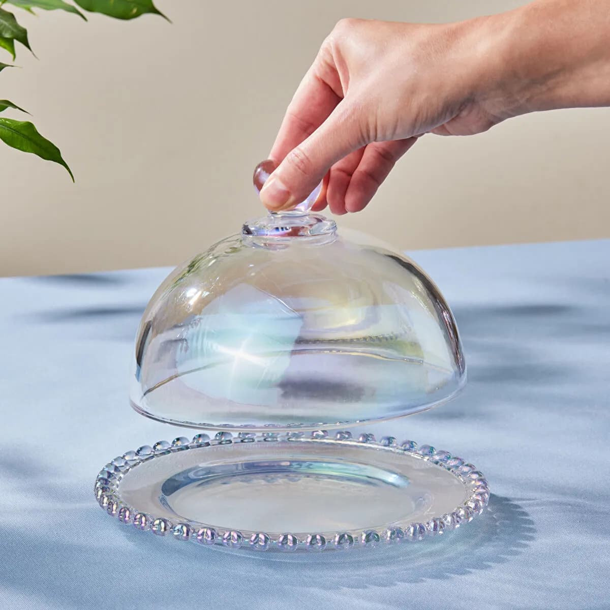 صدفي لامع image 2