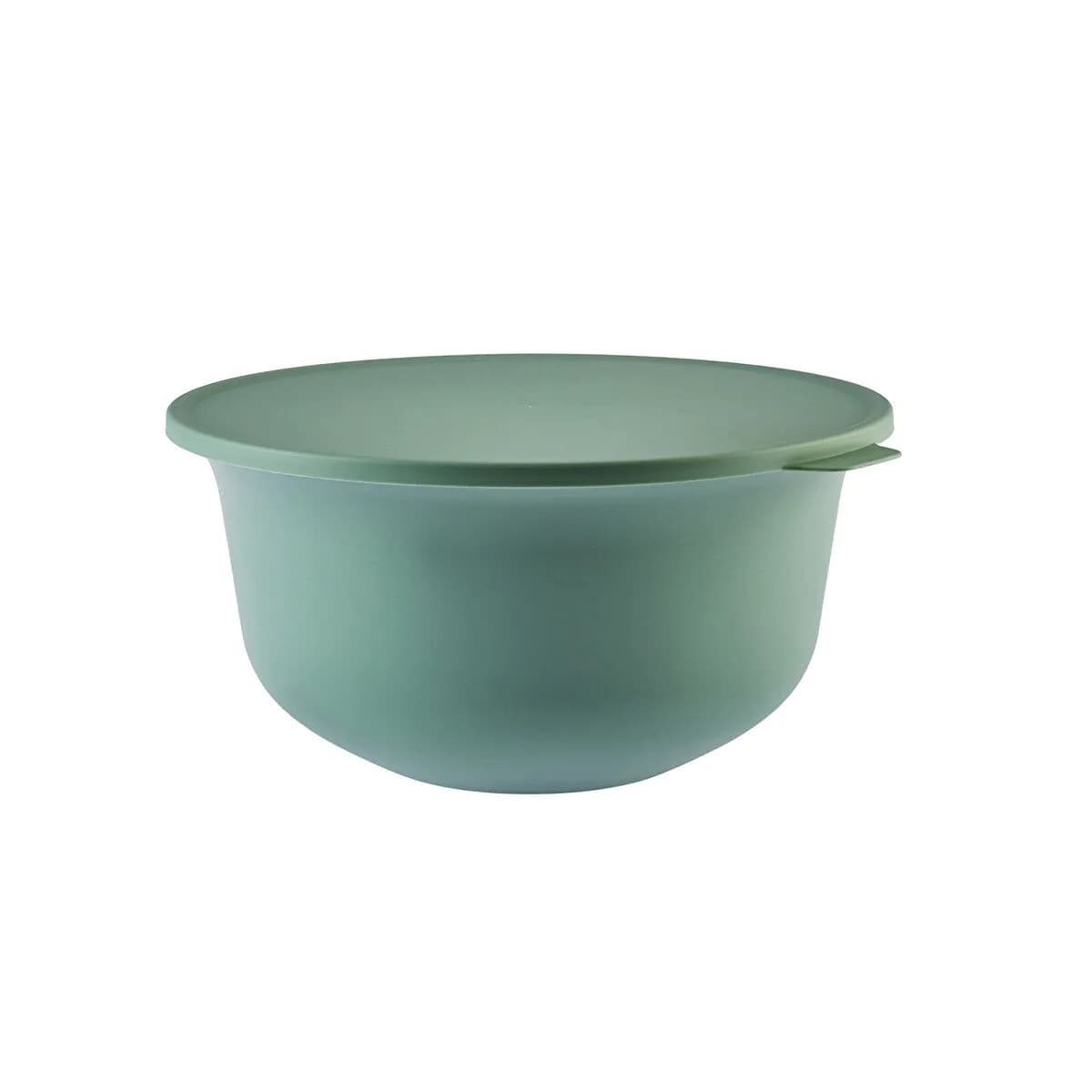 متعدد الألوان image 4