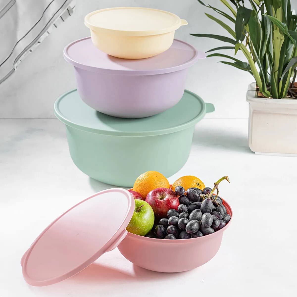 متعدد الألوان image 2