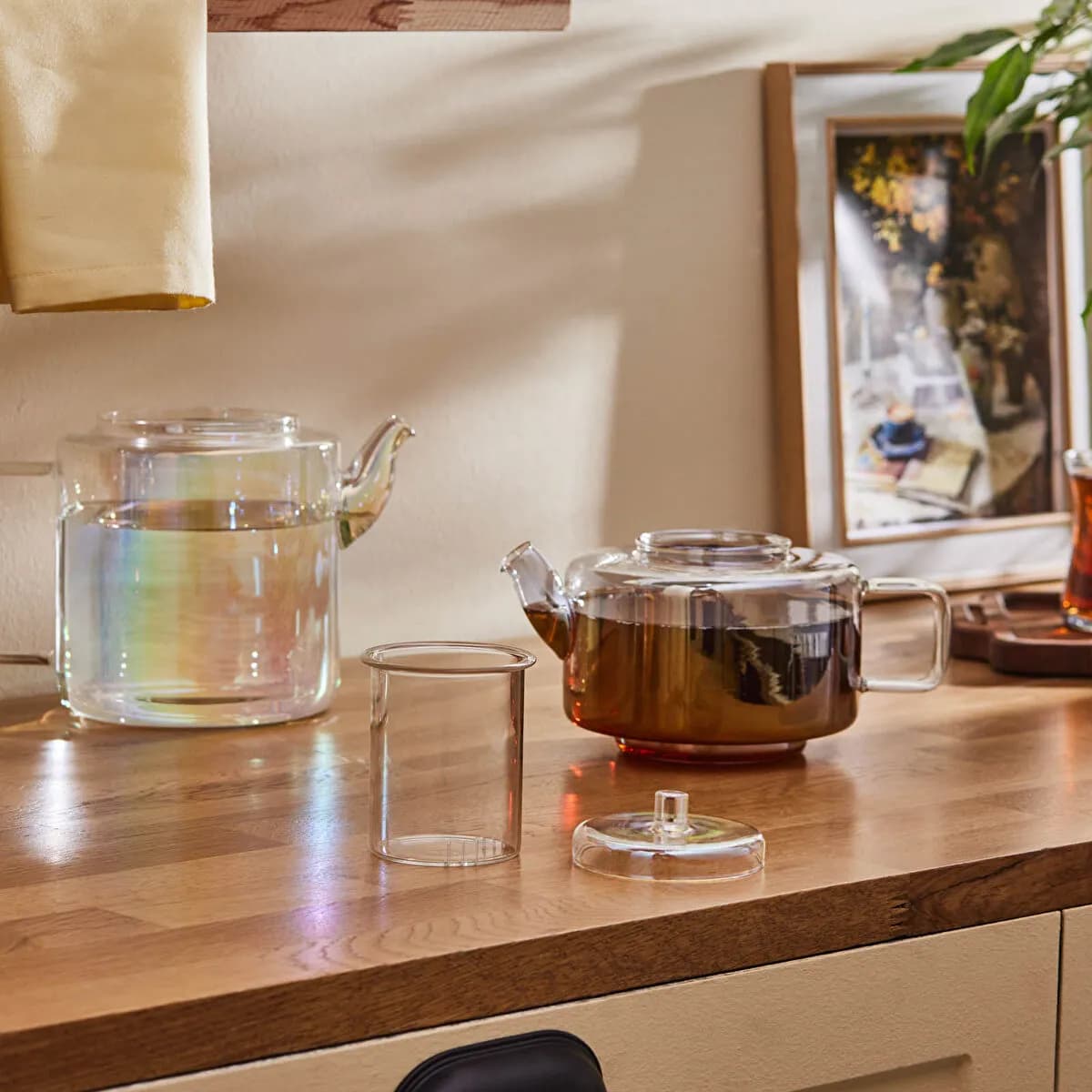 صدفي لامع image 5