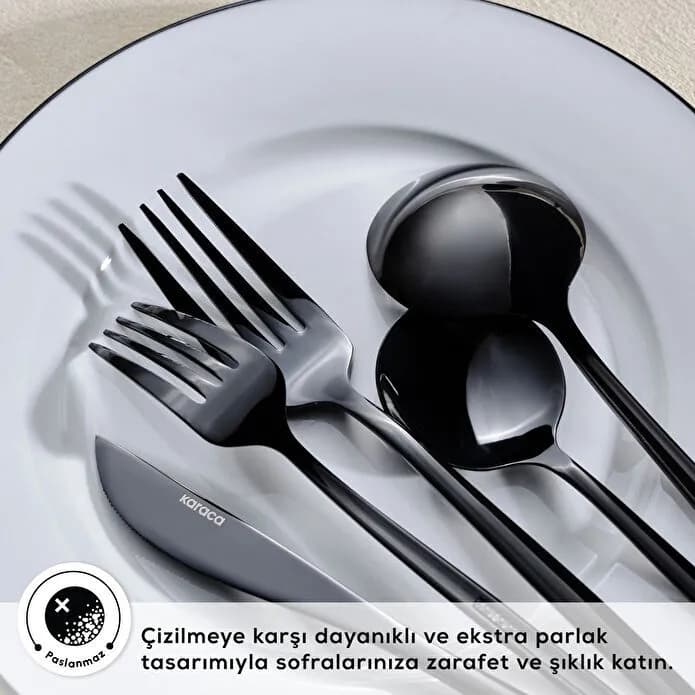Shiny Black image 5